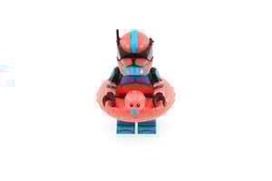 Image of 1/1 Flamingo Fox