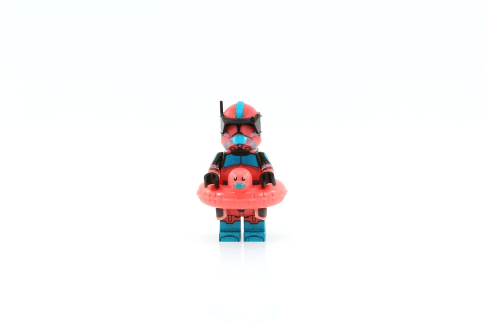 Image of 1/1 Flamingo Fox