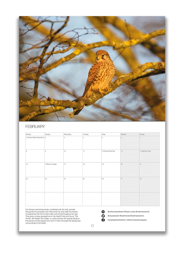 Image of Hampstead Heath Calendar - 2023