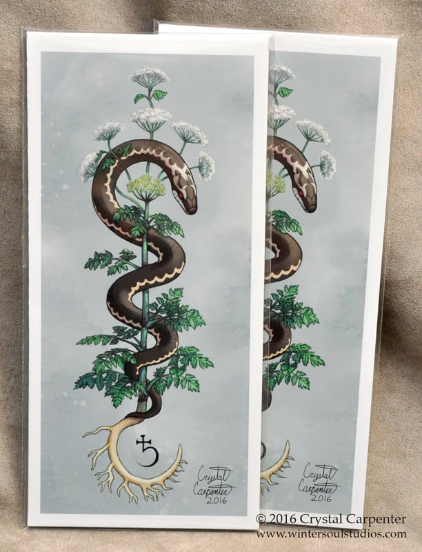 Image of Hemlock's Healing - Art Print