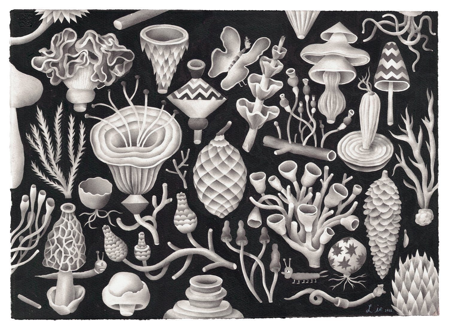 Image of Mushrooms and Pine Cones