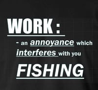Image 2 of Work Interferes with Fishing