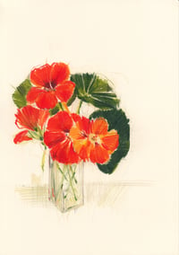 Vase of nasturtiums no. 8