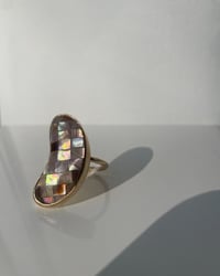 Sz. 7.75 Brownlip Crescent Moon