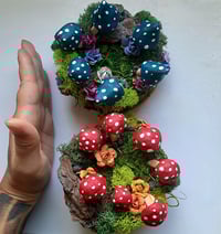 Image 1 of Fairy Circle