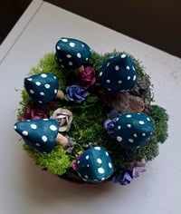 Image 3 of Fairy Circle
