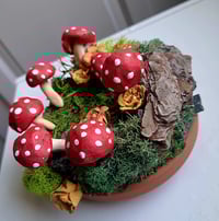 Image 4 of Fairy Circle