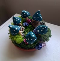 Image 5 of Fairy Circle
