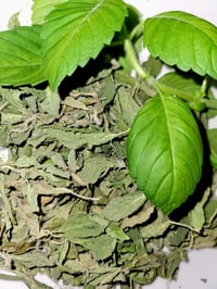 Image 1 of Non GMO Holy Basil