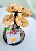 BONSAI Happiness Tree/ Arbolito de la Felicidad.