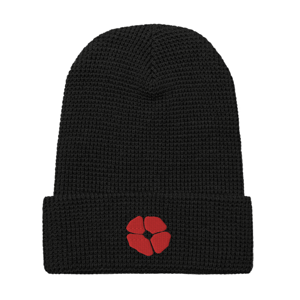 Image of poppy embroidered waffle beanie • collab with @firing_device_electrical_m57 • multiple colors