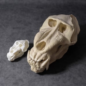 Image of Mini Mandrill Skull 4 Inch (REPLICA)