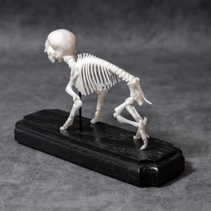 Image of Mini Piglet Skeleton 5 Inch (REPLICA)