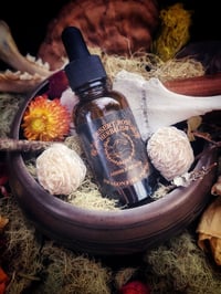 Image 1 of Reignite ~ Dragon Fire Potion
