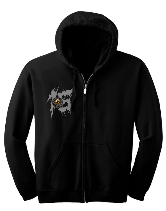 Image of Despotz Records 15 yr (hoodie zip) *Limited Edition*
