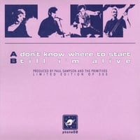 Image 2 of Don't Know Where To Start/Till I'm Alive - number stamped limited edition 7" vinyl  + digital