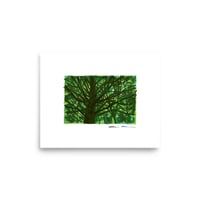 Image 2 of Mother Tree: Archival Print -Framed or Unframed