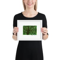 Image 3 of Mother Tree: Archival Print -Framed or Unframed