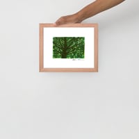 Image 4 of Mother Tree: Archival Print -Framed or Unframed