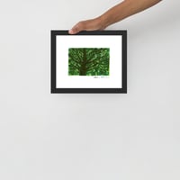 Image 5 of Mother Tree: Archival Print -Framed or Unframed