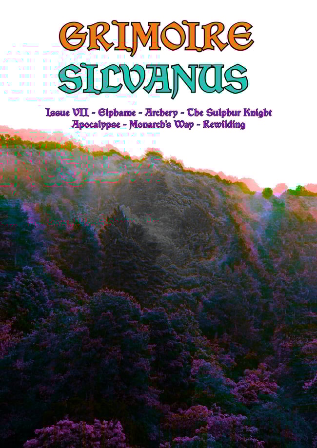 Grimoire Silvanus Zine Issue 7