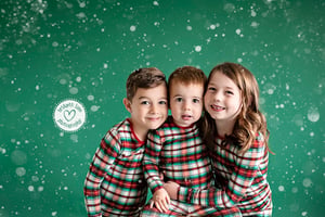 Image of Snow Day Mini