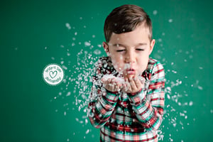 Image of Snow Day Mini