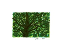 Image 1 of Mother Tree: Archival Print -Framed or Unframed