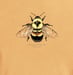 Image of Rusty Patch Bumblebee dyed t-shirt