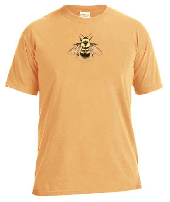 Image of Rusty Patch Bumblebee dyed t-shirt