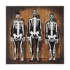 Three Skeletons