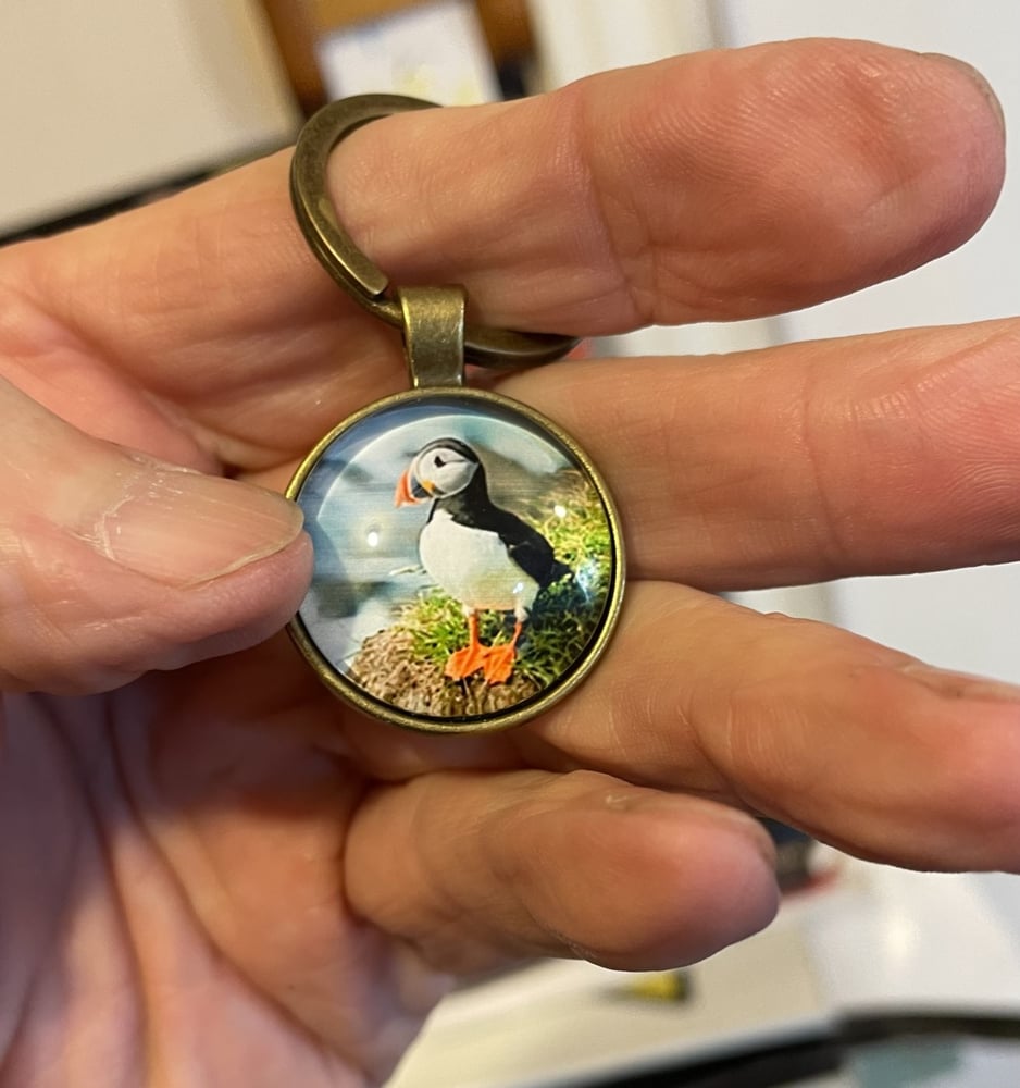 Image of Newfoundland Puffin Keytag