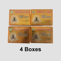 Tawon Liar 4 Boxes