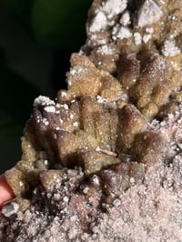 Image 8 of XL SUGARY DOG TOOTH CALCITE -MEXICO- B