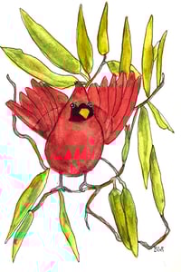 Image 1 of Cardinal bird on the river,  original fine art bird watercolor