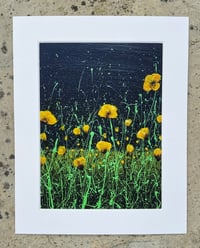 Image 2 of 'Yellow Poppies' Limited Edition Mounted Print