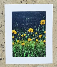 Image 5 of 'Yellow Poppies' Limited Edition Mounted Print