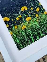 Image 4 of 'Yellow Poppies' Limited Edition Mounted Print