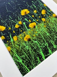 Image 1 of 'Yellow Poppies' Limited Edition Mounted Print