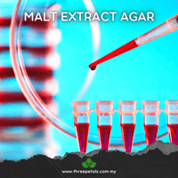 Image 3 of Sterile Pre-Poured Malt Extract Agar Plate For Mycology - Individually Sealed!