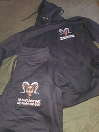 Black Sheep Dark Night Black