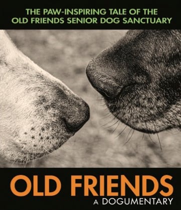 Image of Old Friends, A Dogumentary BluRay/DVD combo 