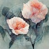 Water color roses