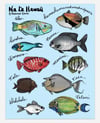 Nā I'a Hawai'i Sticker Sheet