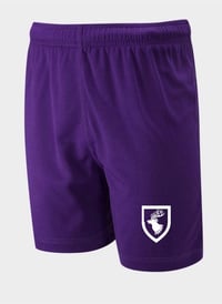 Image 1 of Daiglen School Purple Sports Shorts