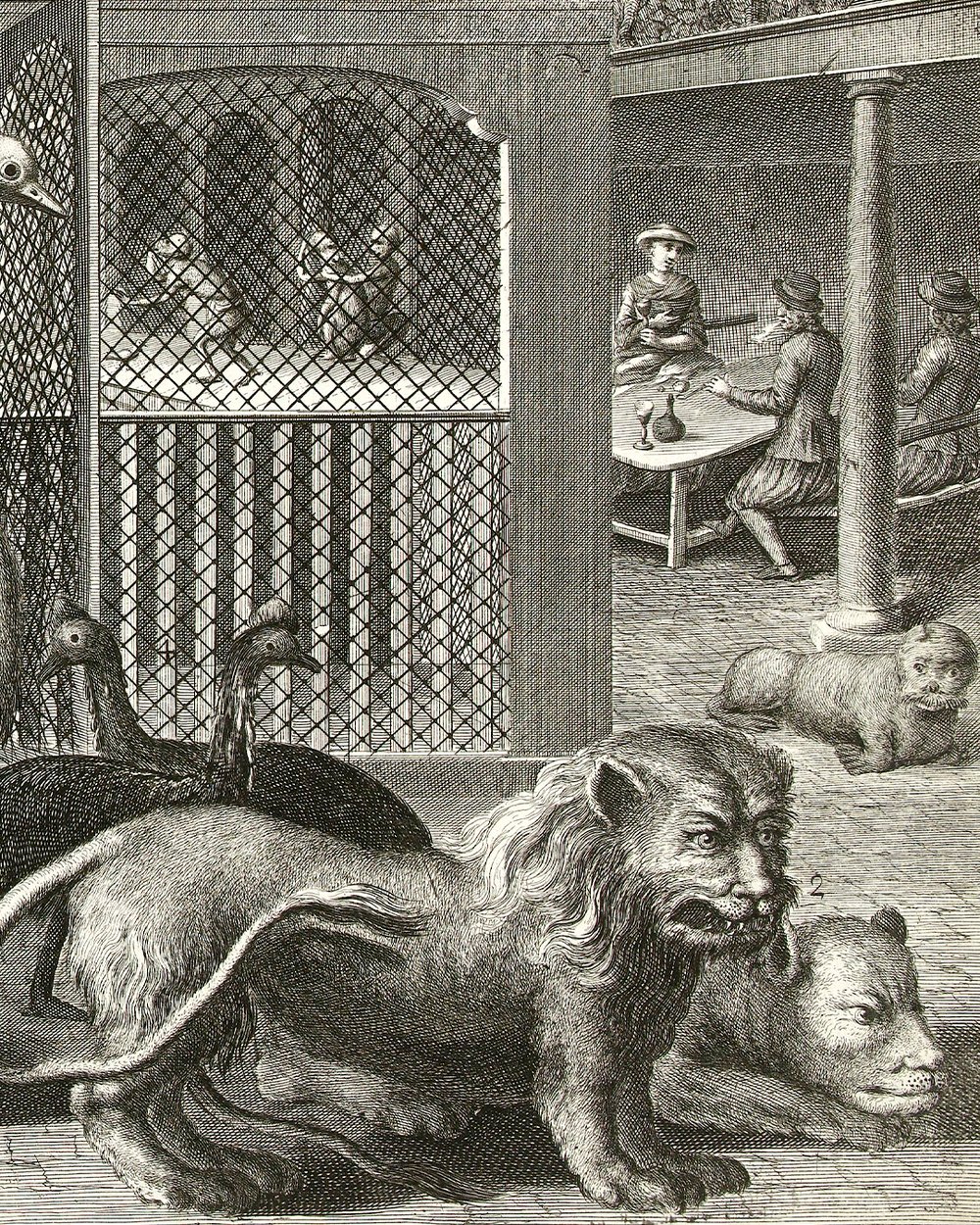 ''The Blaauw Jan Wild animal collection''  (1751)