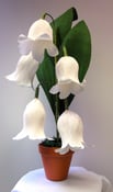 Image of Giant Crepe Paper Lily of the Valley