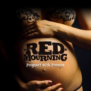 Image of Pregnant With Promise (2011)