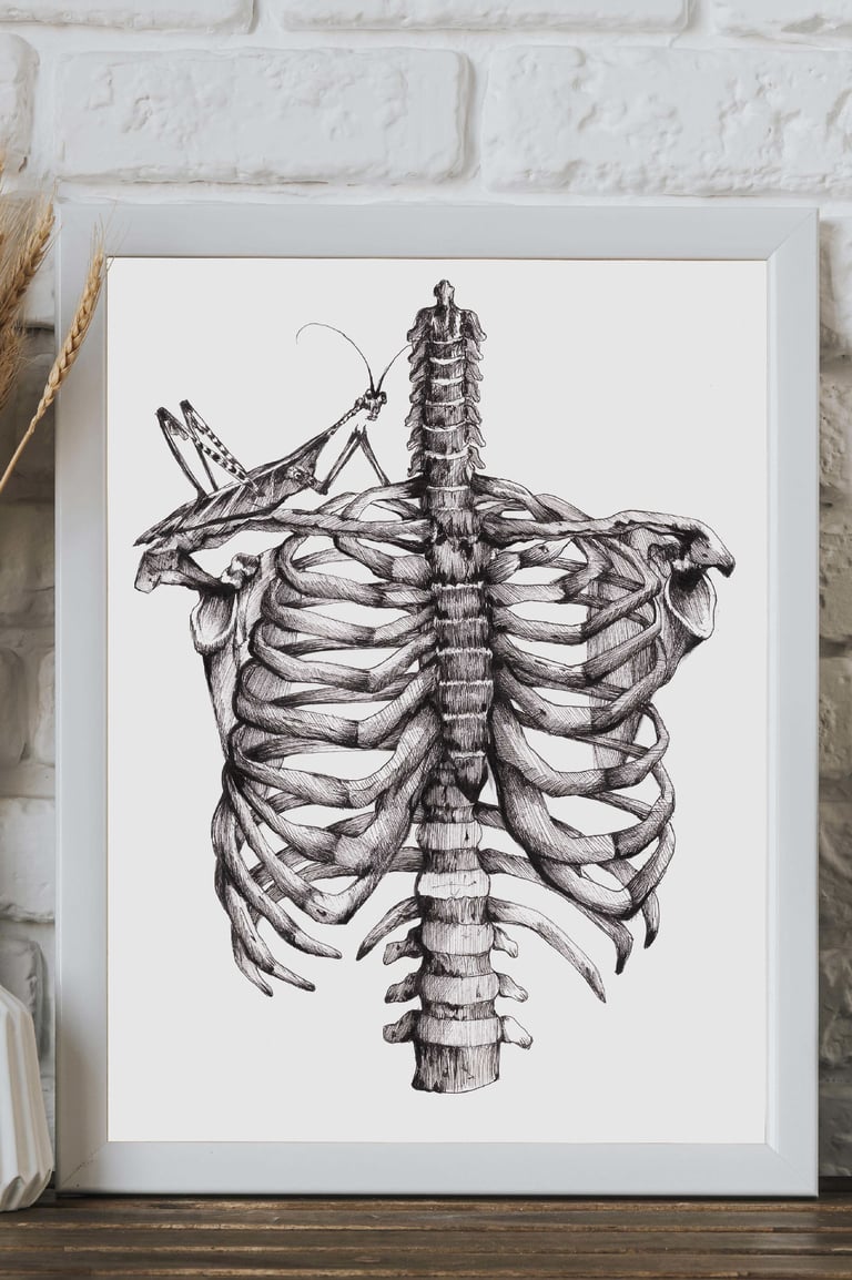 Illustration PRINT « Cage Thoracique » format A4 Image 2