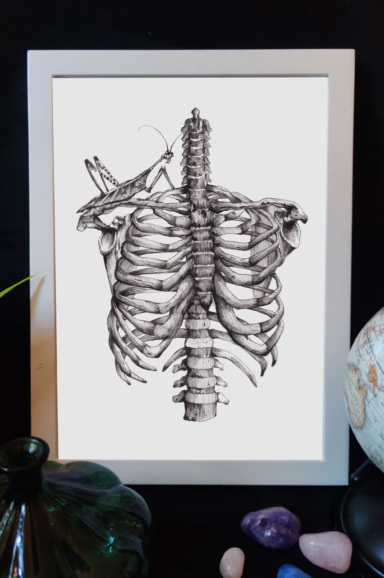 Illustration PRINT « Cage Thoracique » format A4 Image 3